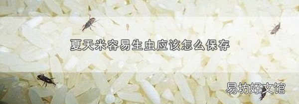 夏天米容易生蟲應(yīng)該怎么保存