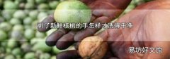 剥了新鲜核桃的手怎样才洗得干净