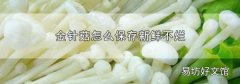 金针菇怎么保存新鲜不烂