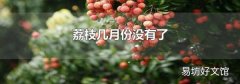 荔枝几月份没有了