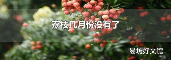 荔枝几月份没有了
