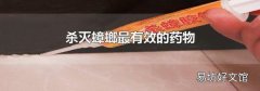 杀灭蟑螂最有效的药物