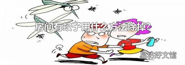 房间有蚊子用什么方法除掉?