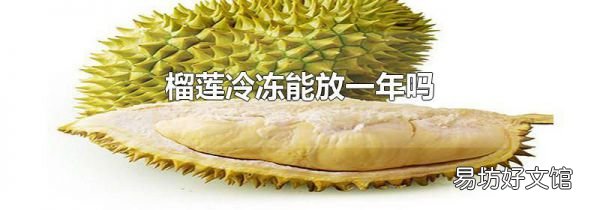 榴莲冷冻能放一年吗