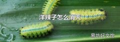 洋辣子怎么消灭