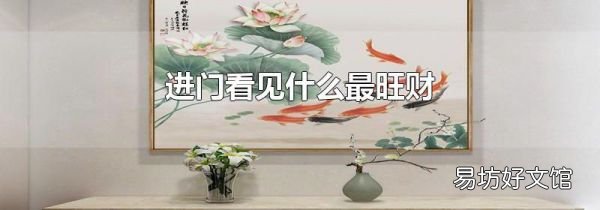 进门看见什么最旺财