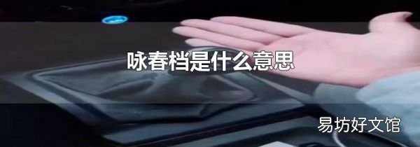 詠春檔是什么意思