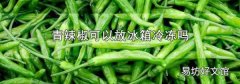 青辣椒可以放冰箱冷冻吗