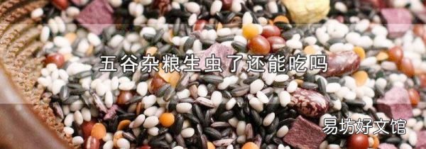五谷杂粮生虫了还能吃吗