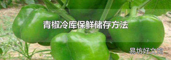 青椒冷庫保鮮儲存方法