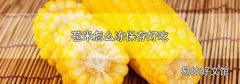 苞米怎么冻保存好吃