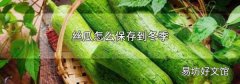 丝瓜怎么保存到冬季