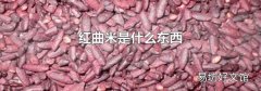 红曲米是什么东西