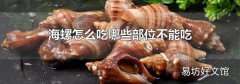 海螺怎么吃哪些部位不能吃