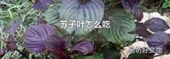 苏子叶怎么吃