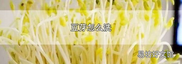豆芽怎么洗