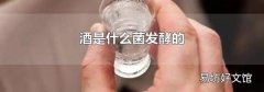 酒是什么菌发酵的