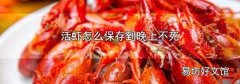 活虾怎么保存到晚上不死