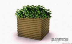 花桶的搭配知识和保养方法