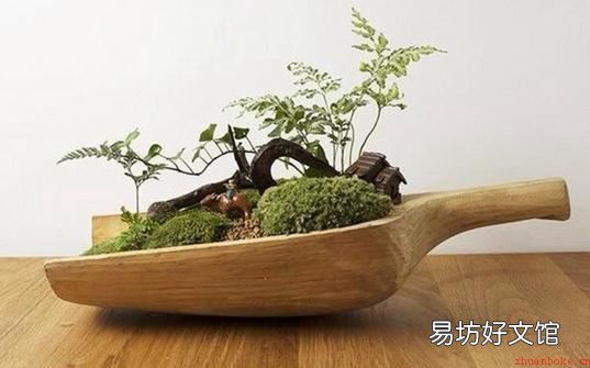 花器的搭配与清洁方法