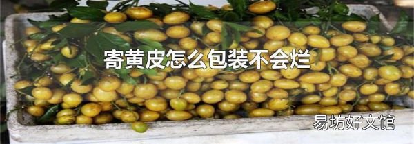 寄黄皮怎么包装不会烂