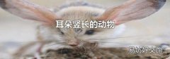 耳朵竖长的动物