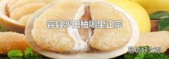 容县沙田柚哪里正宗