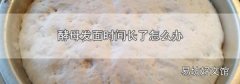 酵母发面时间长了怎么办
