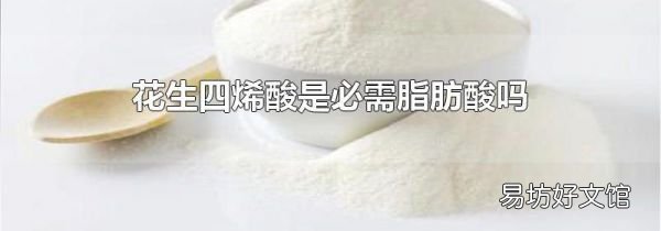 花生四烯酸是必需脂肪酸吗