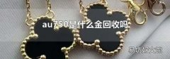 au750是什么金回收吗