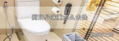 厕所异味重怎么去除