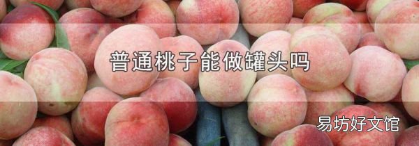普通桃子能做罐頭嗎