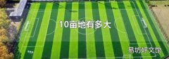 10亩地有多大
