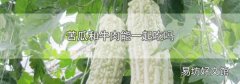 苦瓜和牛肉能一起吃吗