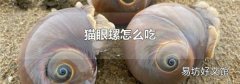 猫眼螺怎么吃