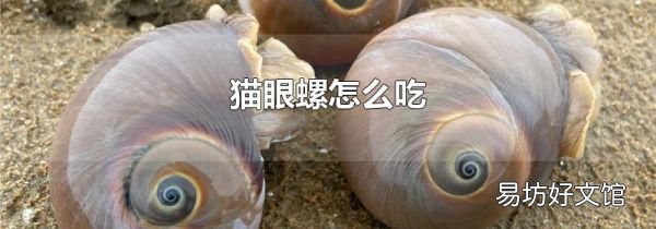 貓眼螺怎么吃