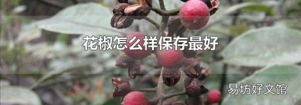 花椒怎么樣保存最好