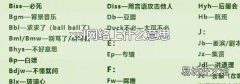 xsl网络上什么意思