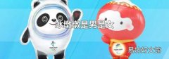 冰墩墩是男是女
