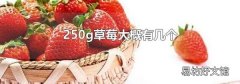 250g草莓大概有几个