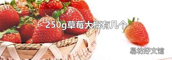 250g草莓大概有几个