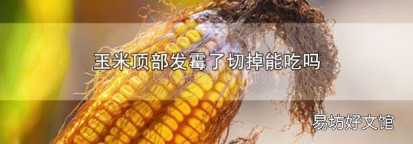 玉米顶部发霉了切掉能吃吗