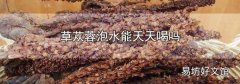 草苁蓉泡水能天天喝吗