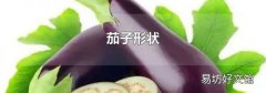 茄子形状