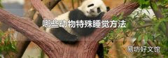 哪些动物特殊睡觉方法