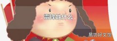 雷锋姓什么