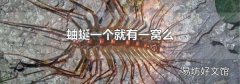 蚰蜒一个就有一窝么