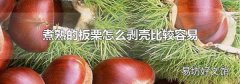 煮熟的板栗怎么剥壳比较容易