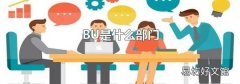 BU是什么部门