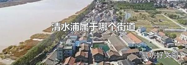 清水浦属于哪个街道